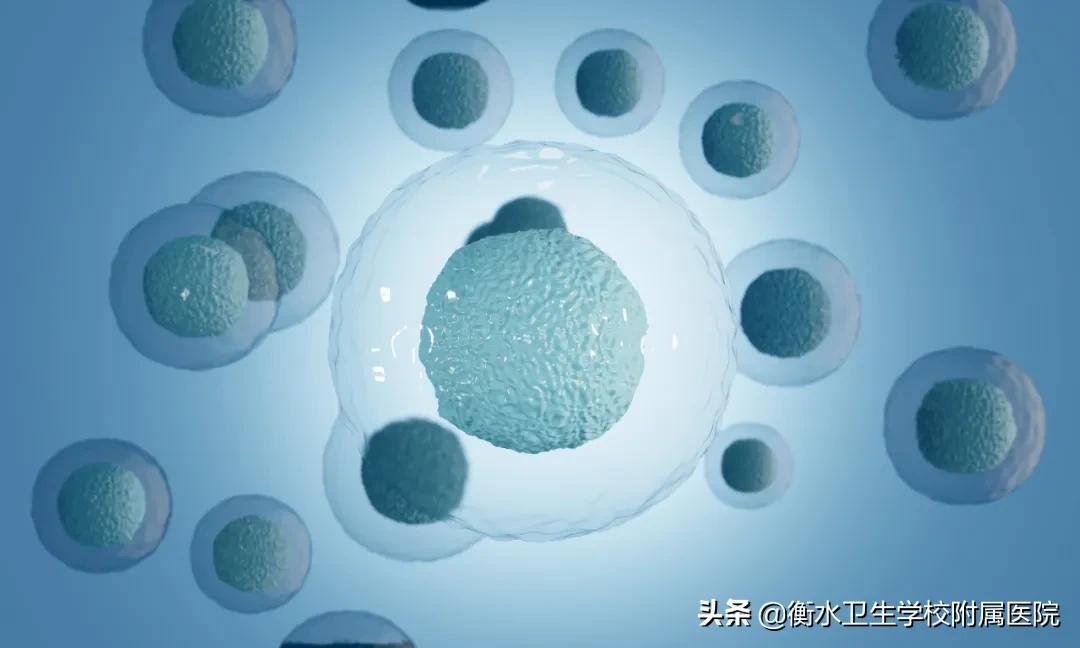 「小贴士」胚胎移植常见问题