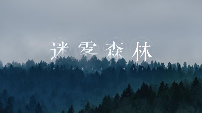 罗永浩谈演讲,罗永浩老人与海演讲