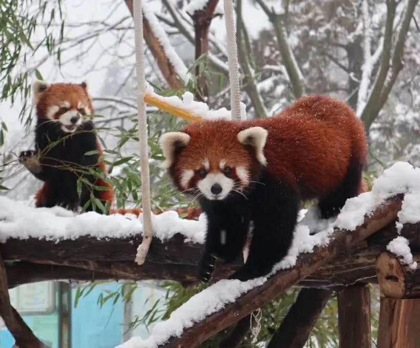 南京一座伟大的城市,南京一座城