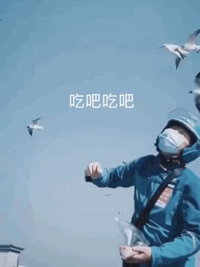 动物园发生了让人哭笑不得的事情,最孤独的动物园现状有很多游客吗