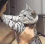 秋冬新款2023潮款包包推荐,今年最流行百搭冬款包包推荐