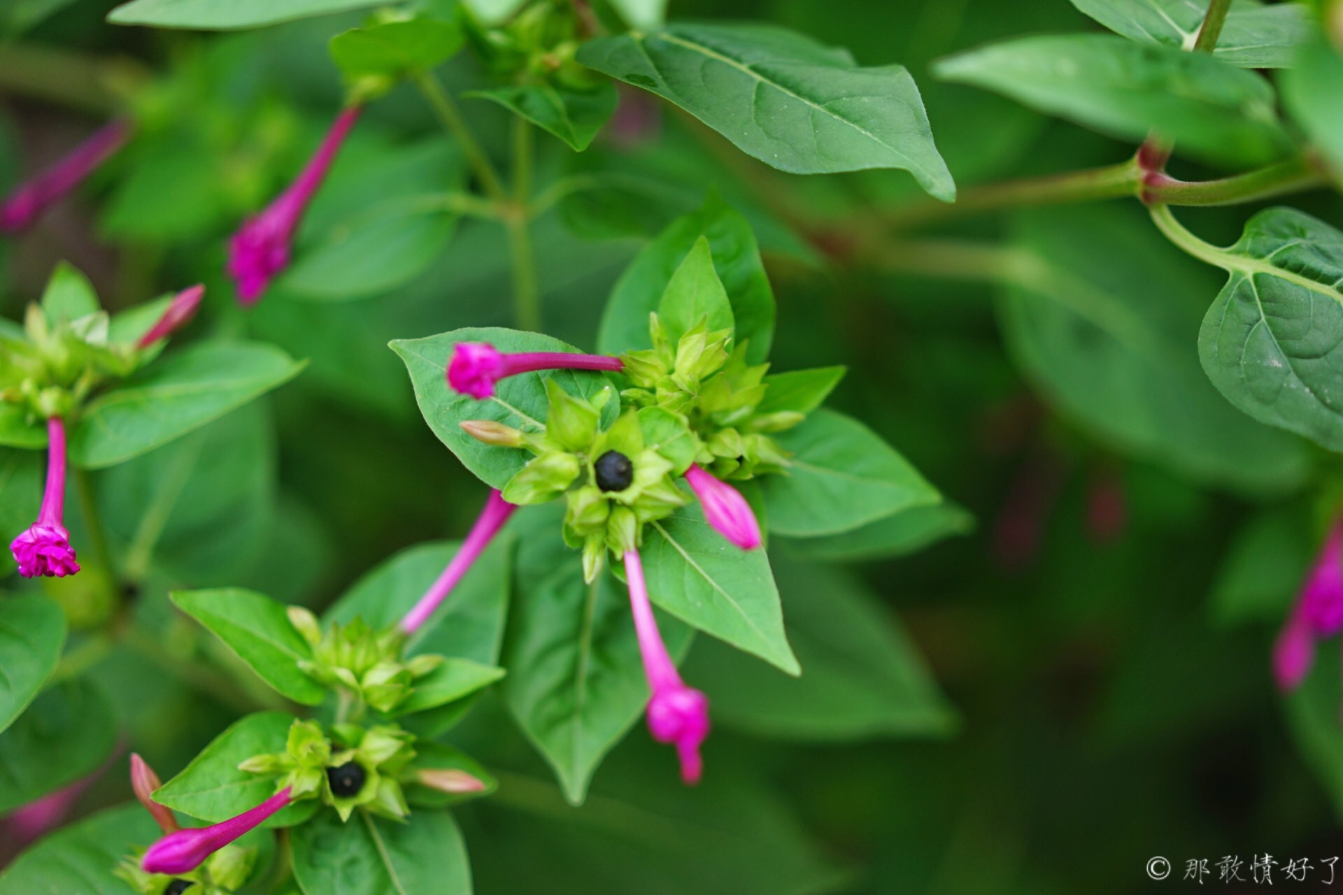 北京昌平带私人烧烤的民宿,昌平京郊民宿