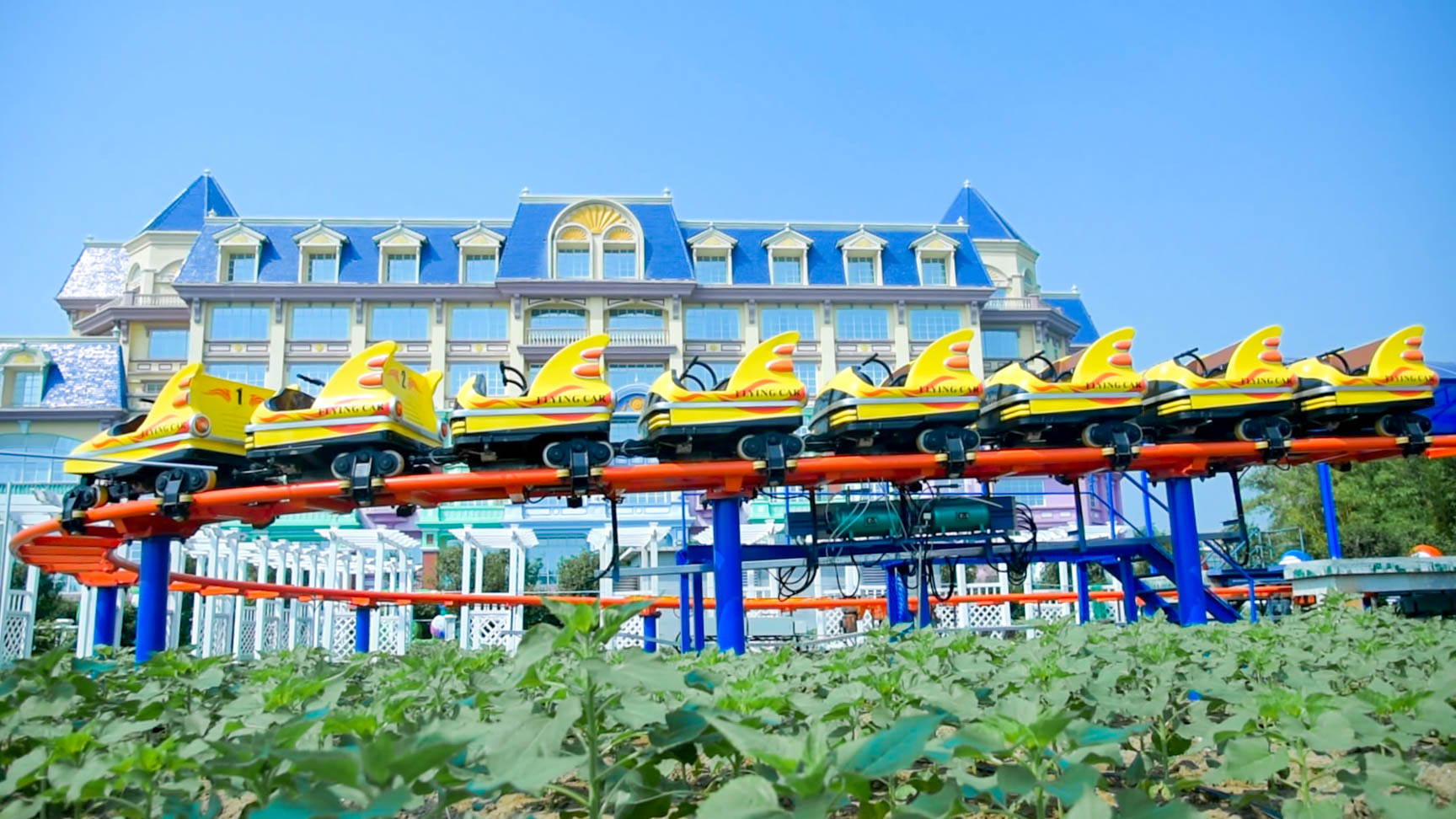 百万葵园有多坑,百万葵园免门票