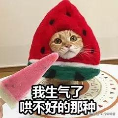 mac飘起来是真的假的,mac口红良心推荐