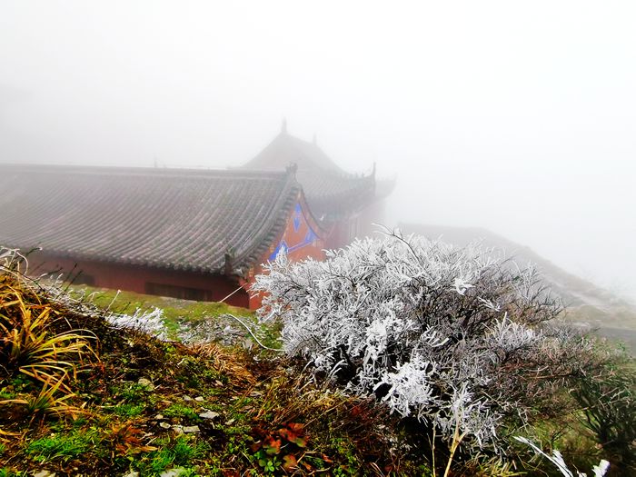 雨中的梵净山景色,烟雨梵净山