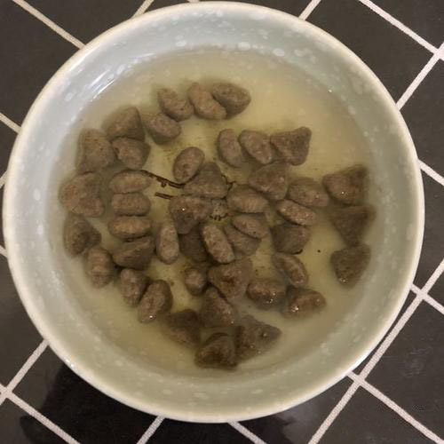 新手养猫适合养幼猫还是成猫,新手养猫怎么不让它生病