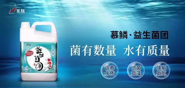 鲤界“老司机”的干货分享，少走弯路