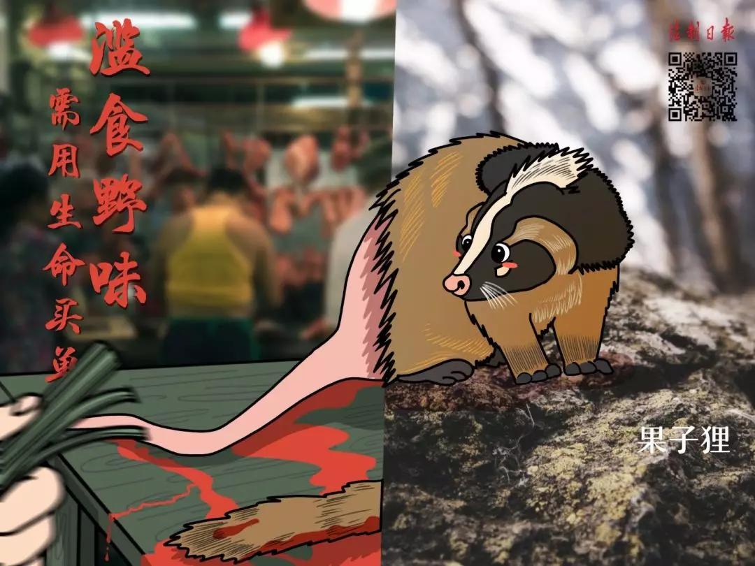 拒绝野味成为自觉行为,拒绝野味管不住嘴