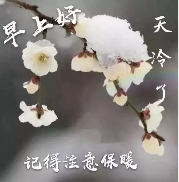 心灵的伙伴是什么,心灵的伙伴是温暖源泉