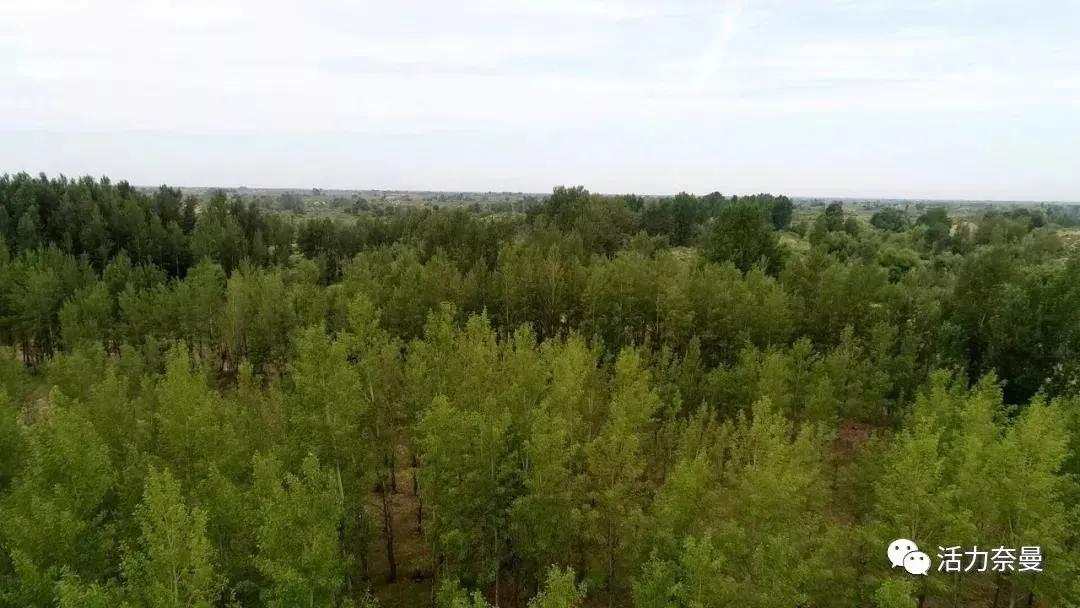 奈曼扶贫一点通,奈曼百企帮百村扶贫