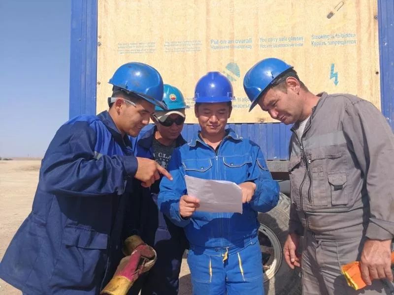 中石油大庆油田有限责任公司官网,中国石油大庆石化公司简介