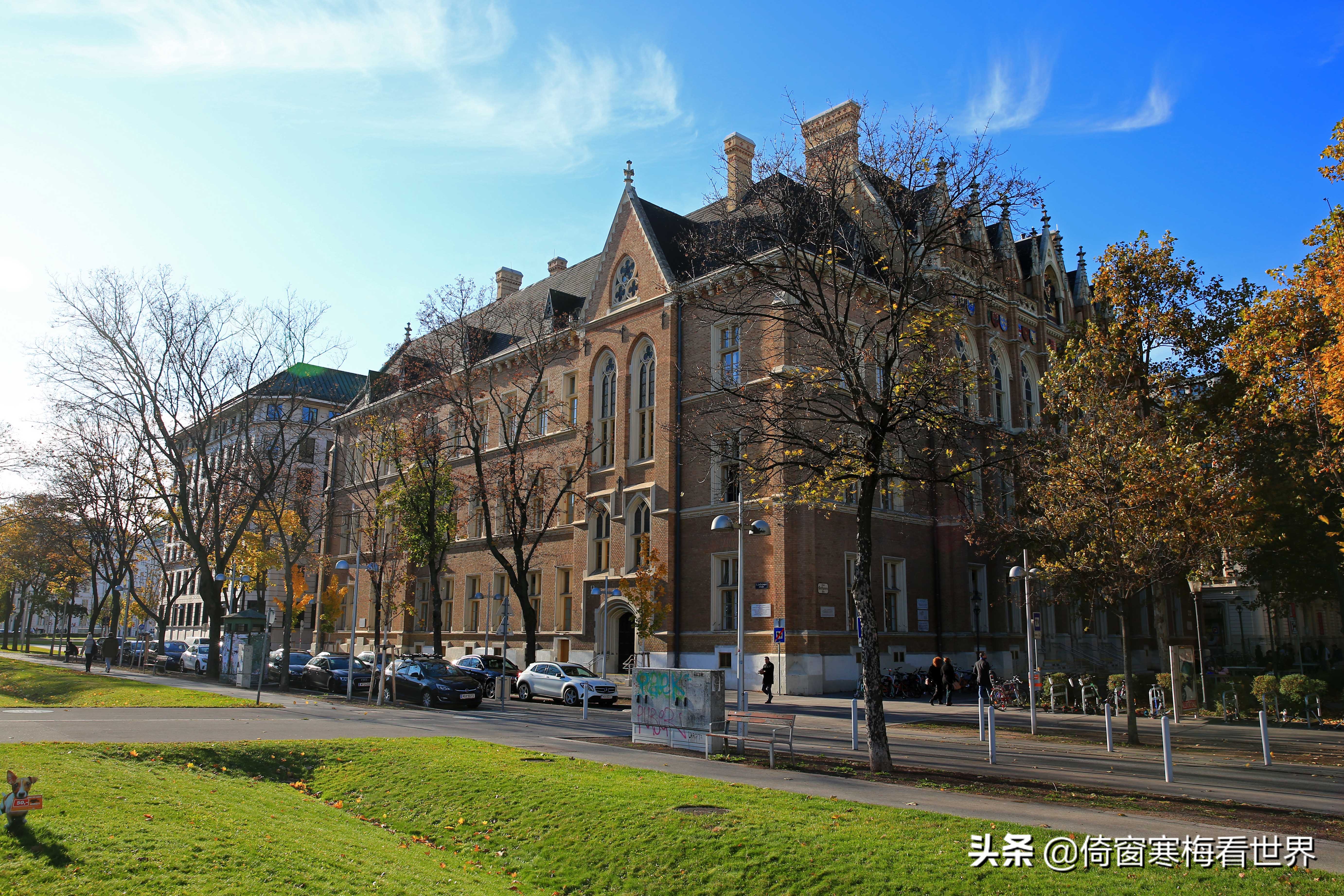 走马观花这首歌,走马观花乐器版