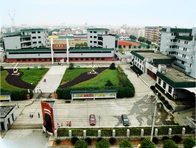 造纸新建项目最新消息,2024造纸新项目哪里有