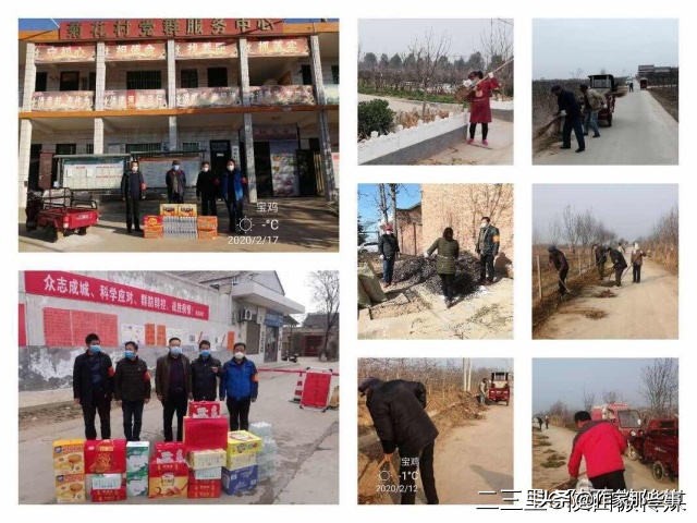 扶风杏林菊花村,宝鸡扶风杏林菊花村