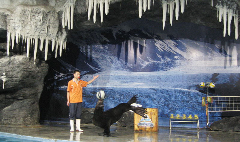 海洋馆郑州海洋馆,郑州海洋馆极地海洋世界