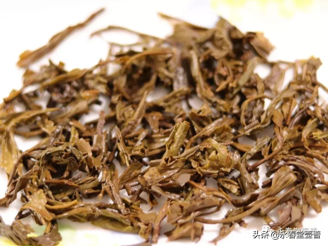 品饮普洱茶时的感受,品饮级普洱生茶叶