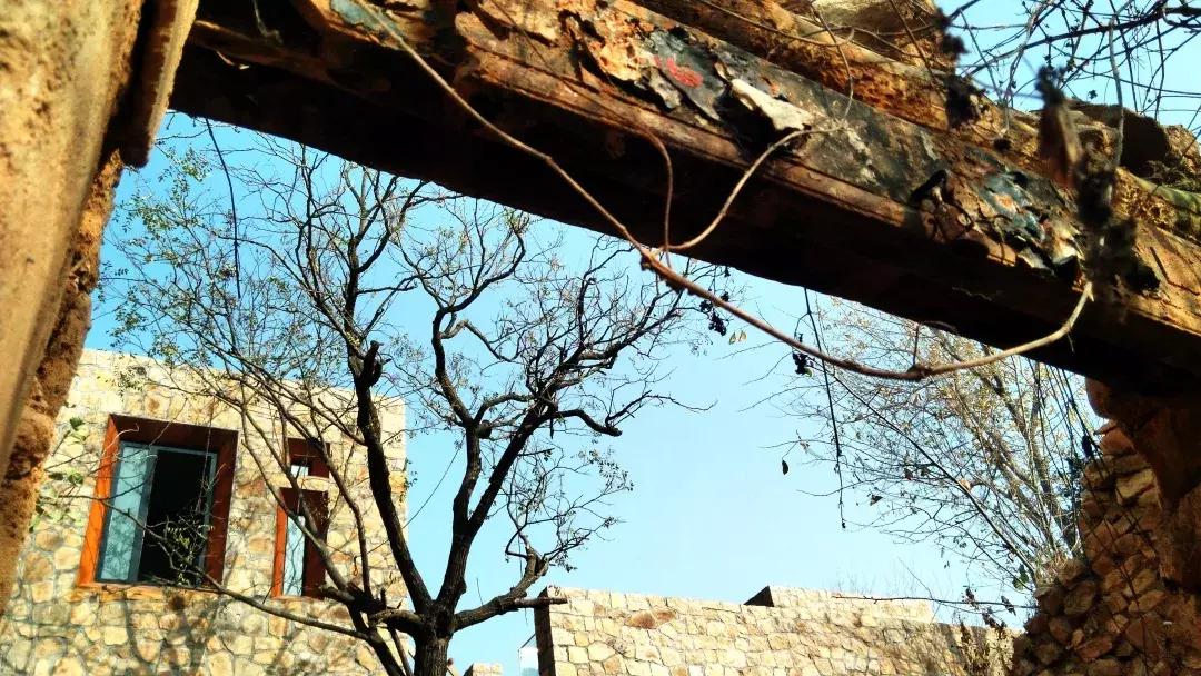 凤凰措古村落,凤凰措古村落设计