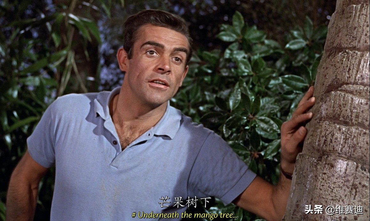 碟中谍2克莱尔弗兰妮,电影碟中谍2国语版