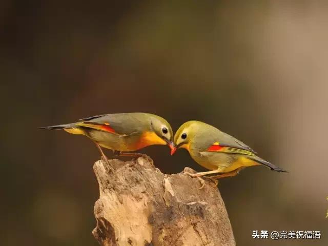 今天2.1，2月第1天，谁编的，太好笑了，给群里乐一乐~