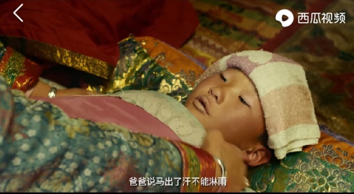 乌珠穆沁的孩子电影在线观看,乌珠穆沁的孩子怎么样