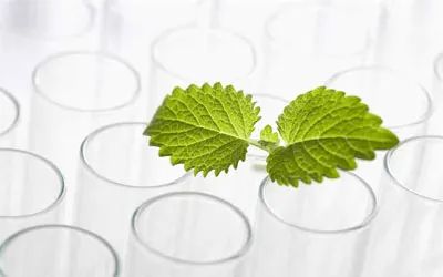 买错东西造成不良后果,买东西常见的几大误区你中招了吗