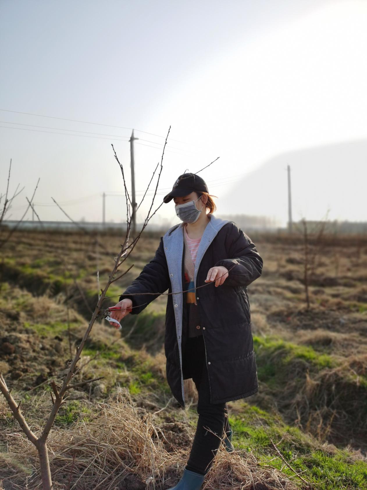 战疫情保春耕预防倒春寒,战疫情保春耕生产