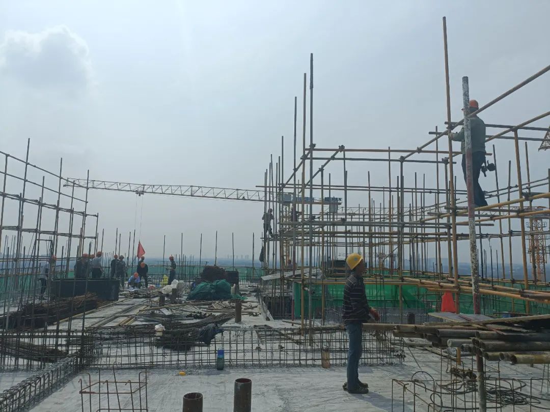 全面封顶季｜三叶品质始终如一，1#楼喜封金顶