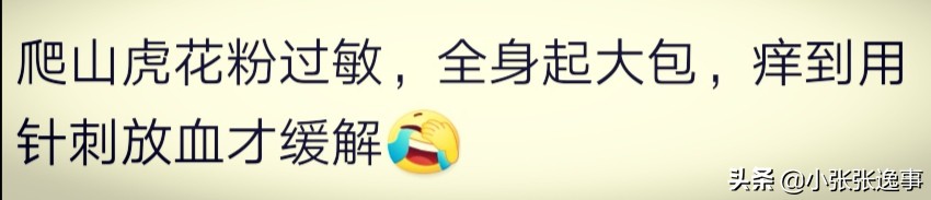 吃丝瓜过敏红疙瘩发痒,皮肤过敏可以吃丝瓜吗
