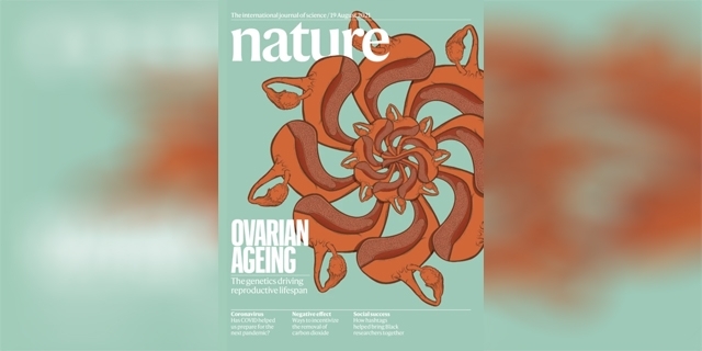 nature发文肥胖与肠道菌群,nature发文肥胖与运动减少