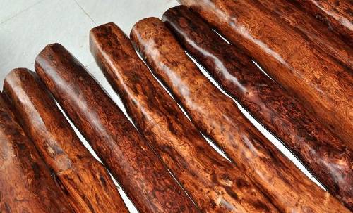 木头免费观看,木头最新作品全集在线阅读