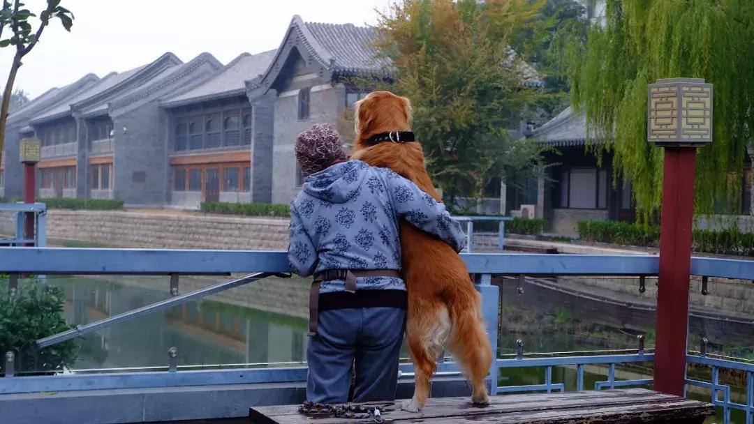 北京南锣鼓巷东一公里打卡地,北京南锣鼓巷旅游攻略必玩的景点