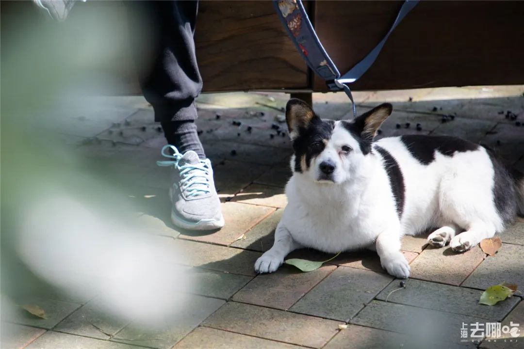 上海国庆免费景点推荐,上海值得去的免费景点旅游攻略