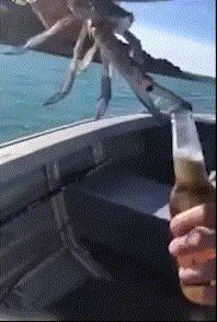 吃榴莲后牙痛怎么办,吃榴莲能治牙痛吗