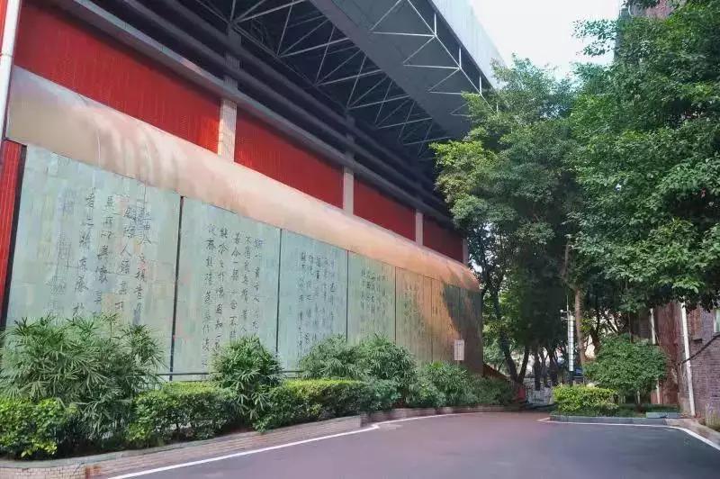 重庆一中与巴蜀中学哪个好,重庆一中全校前十名