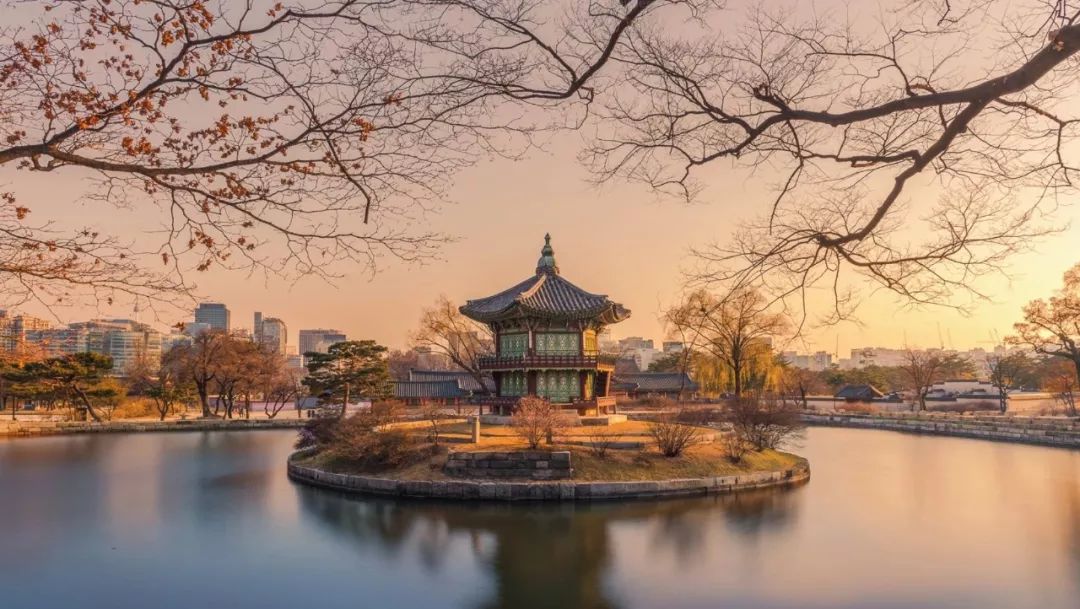 打HPV、考国际驾照、当练习生、看演唱会、泡夜店，这才是首尔