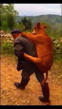 上厕所没有厕纸只能用绳子,上厕所没有卫生纸能用吗