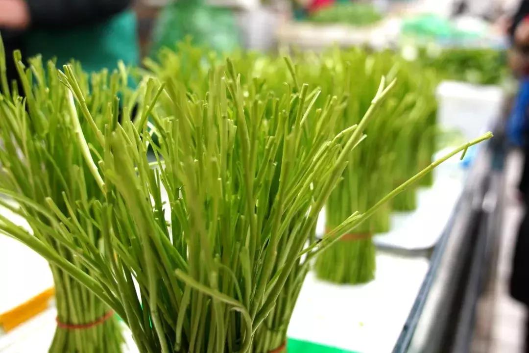 年味|带上小拖车跟我走!这里买年货实惠好吃