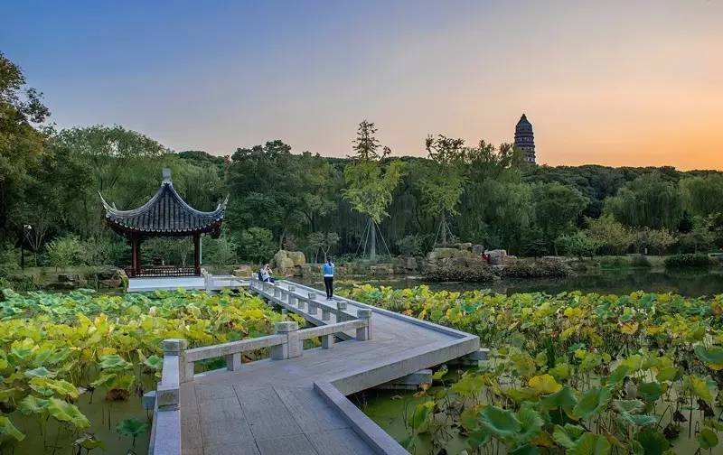 苏州必去的景点苏州虎丘值得去吗,苏州旅游虎丘值得去吗现在