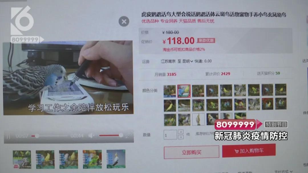 现在的花鸟市场还能卖吗,花鸟市场能买到吗