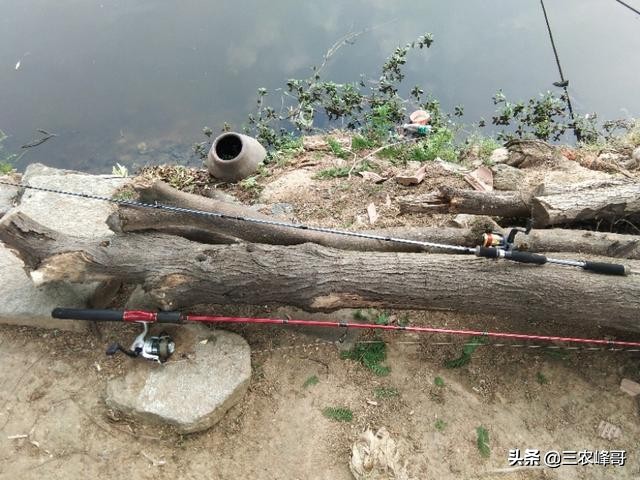 雷强黑鱼装备怎么选,雷强打黑装备搭配推荐