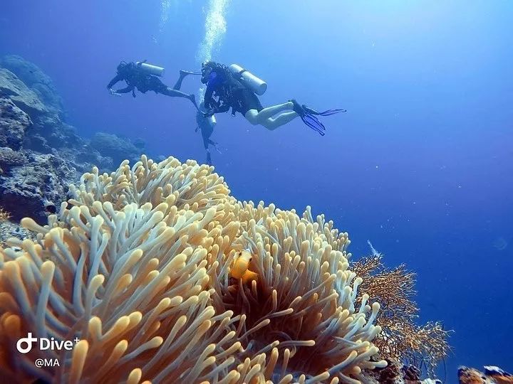 马尔代夫选岛攻略地图,马尔代夫水屋岛屿推荐及选择方法