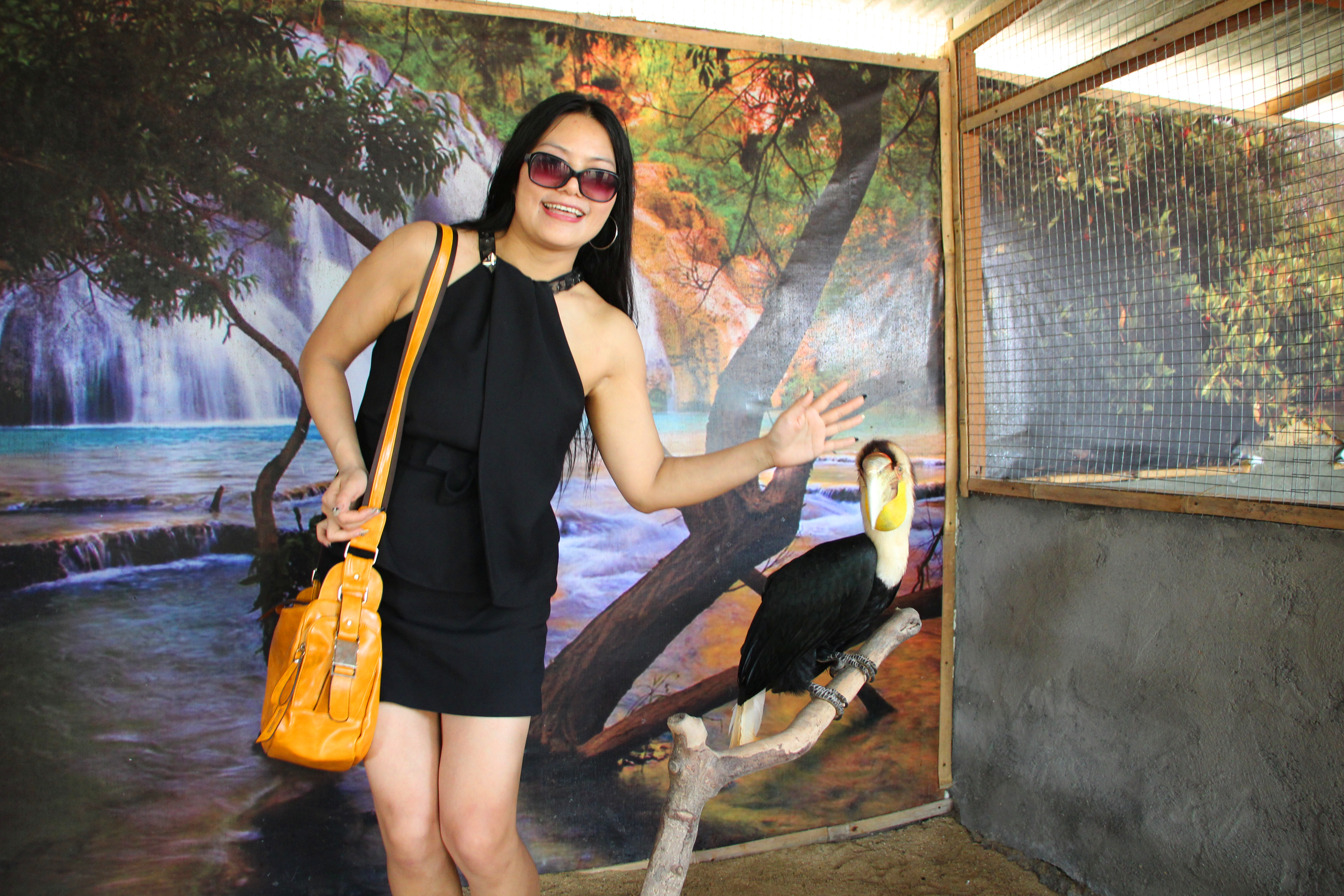 天堂之岛巴厘岛,天堂之岛巴厘岛旅游