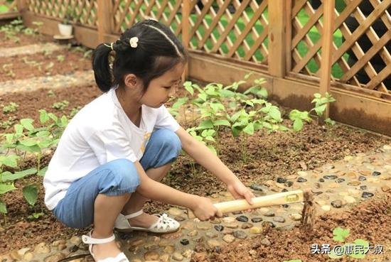 2022年厦门天地幼儿园,厦门湖里天地幼儿园学费多少