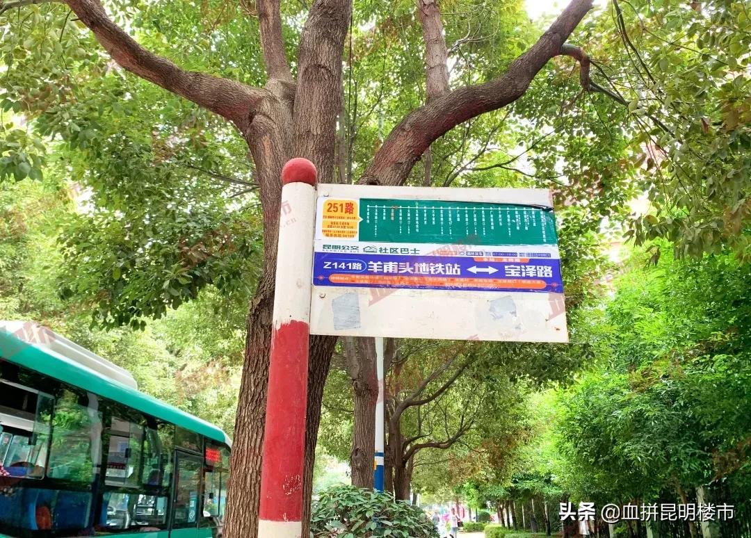 有学校的楼盘郑州,有学校有地铁的公寓值得买吗