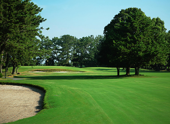 日本高尔夫球场预定,日本高尔夫球场推荐
