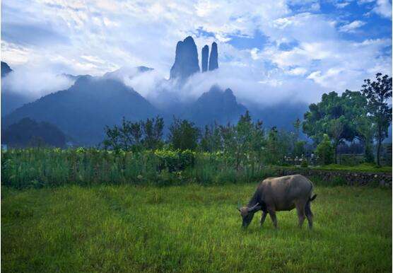 浙江江郎山自驾游攻略,江山江郎山国家重点风景名胜区