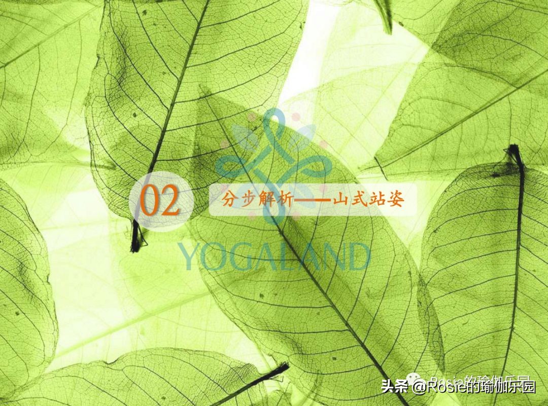 瑜伽小白如何在家自己练瑜伽,瑜伽零基础入门的基本体式有哪些