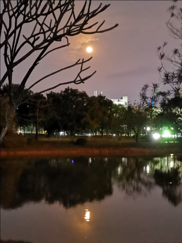 海上明月共潮生诗词,海上生明月诗词全文