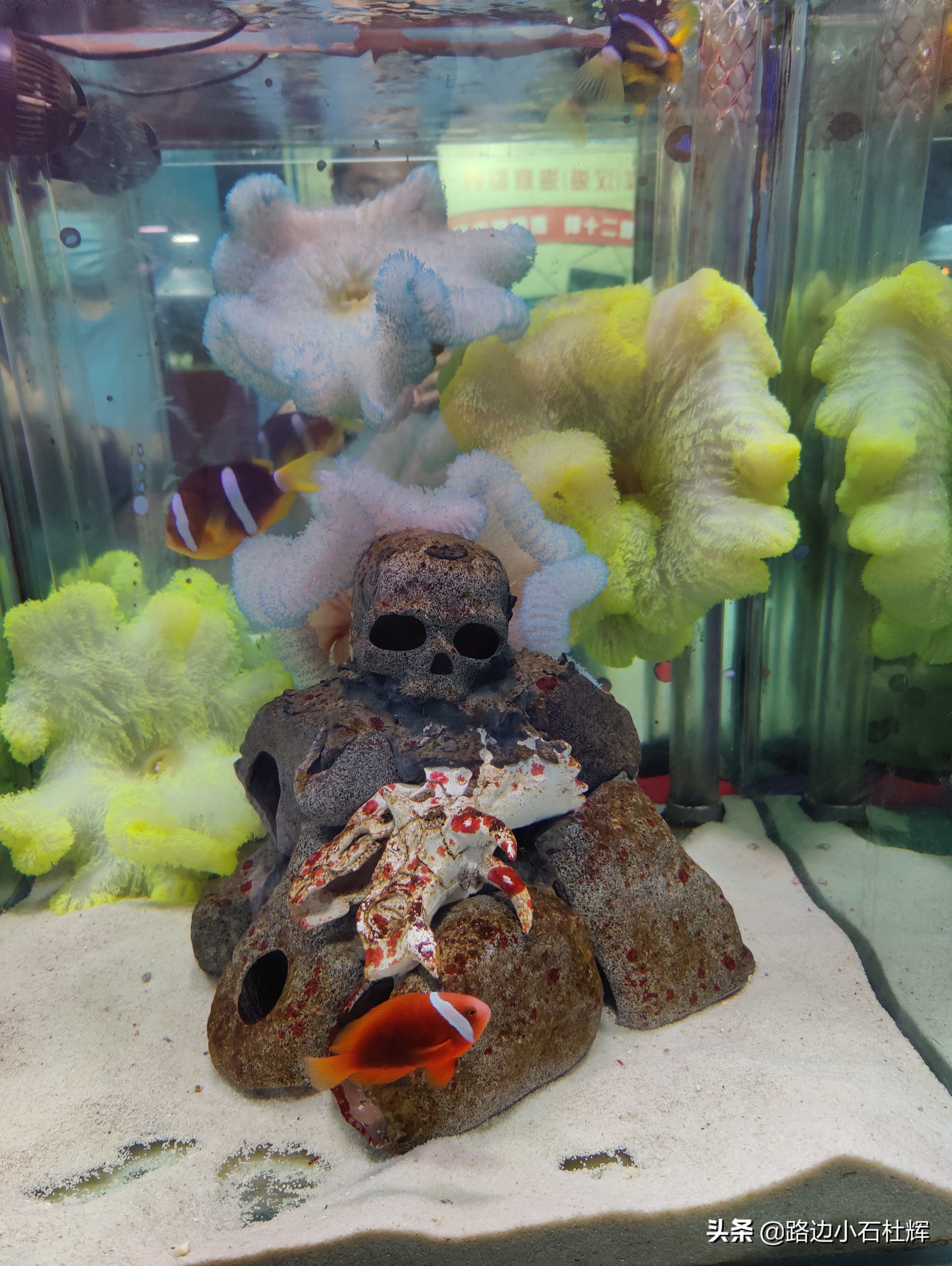 北京海洋馆海底世界游玩攻略,海洋馆北京海底世界游玩路线