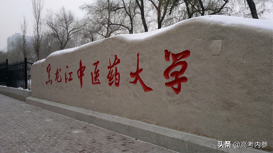 哪个学校的中药学最好,中国中药学有哪些学校